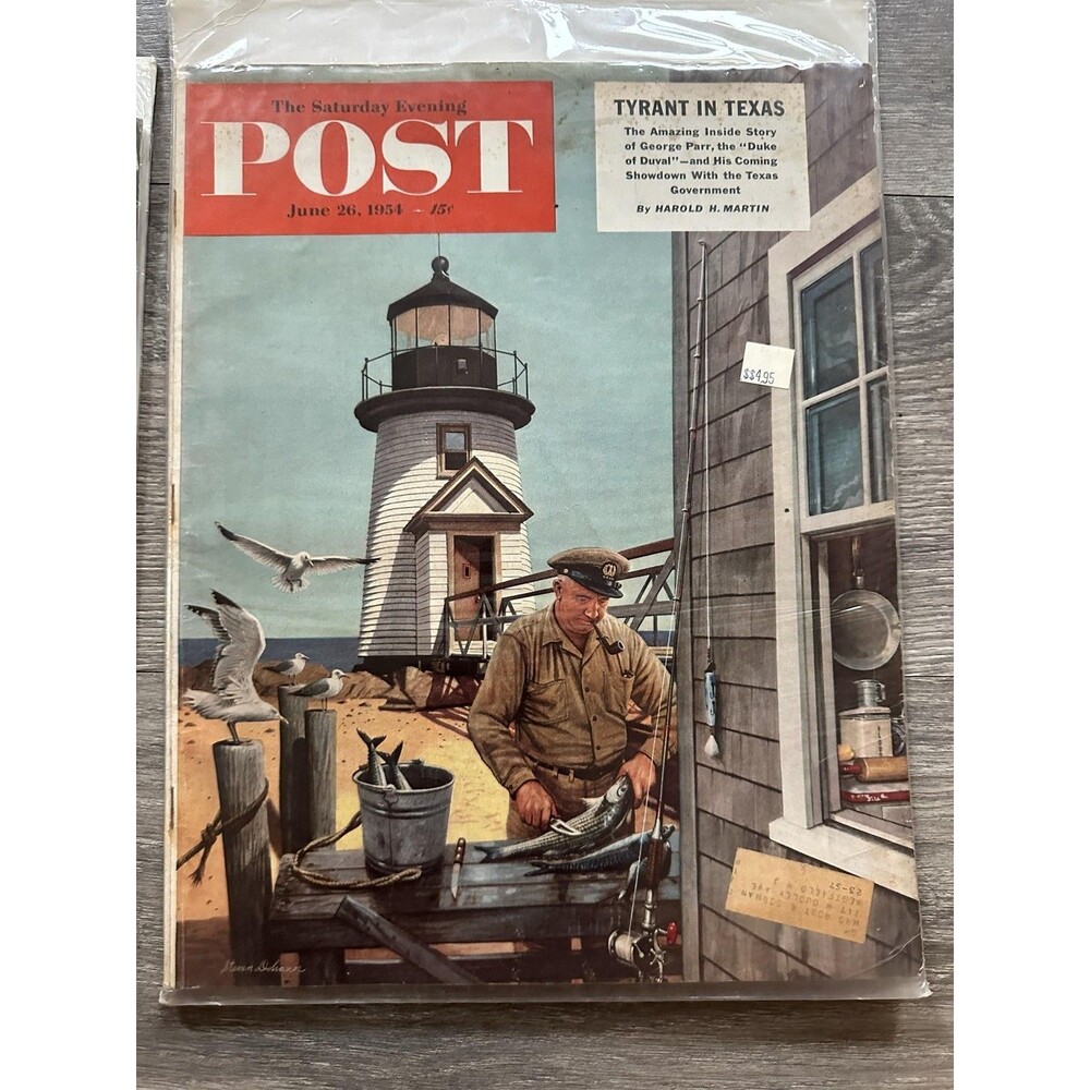 The Saturday Evening Post June 26 1954 Magazine Illustrated Politics Cover Art
